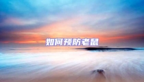 如何預(yù)防老鼠