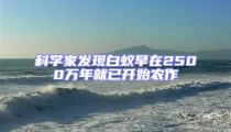 科學家發現白蟻早在2500萬年就已開始農作