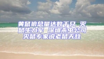黃鼠狼總量達數千只 滅鼠生力軍 深圳殺蟲公司滅鼠專家說老鼠天敵