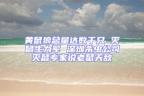 黃鼠狼總量達數千只 滅鼠生力軍 深圳殺蟲公司滅鼠專家說老鼠天敵