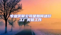 專業滅鼠公司是如何進行工廠滅鼠工作