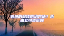 衣魚的最佳防治方法?殺蟲公司告訴你