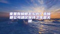家里有蟑螂怎么辦?殺蟑螂公司建議保持衛生是關鍵