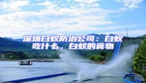 深圳白蟻防治公司:白蟻吃什么,白蟻的食物