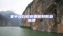 家中沒白蟻也要做好防治處理
